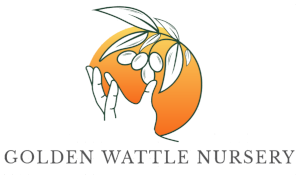 Golden Wattle Nursery